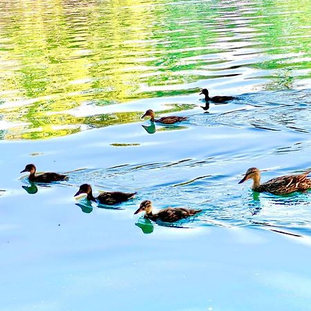 Villa Grace Bihać エクステリア 写真